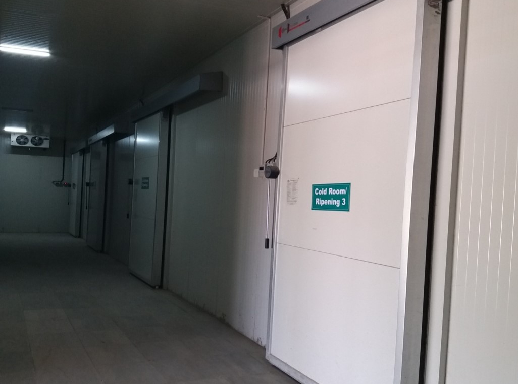 cold-storage-facilty